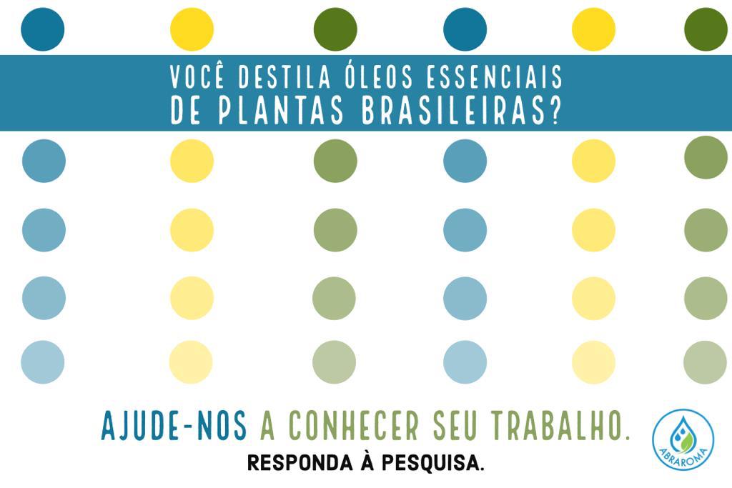 Produção de OEs de plantas brasileiras – pesquisa